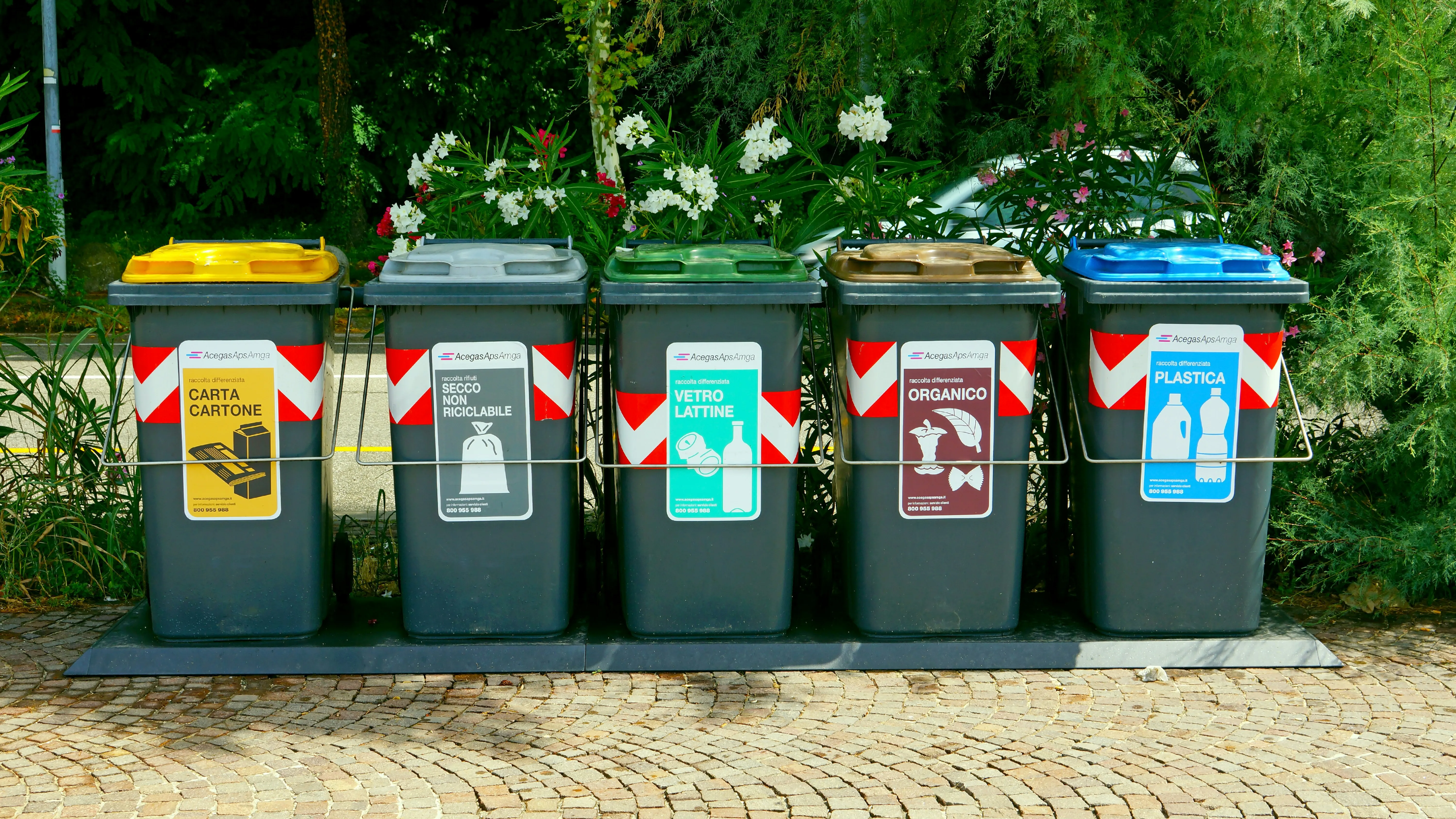 Waste Management Safety